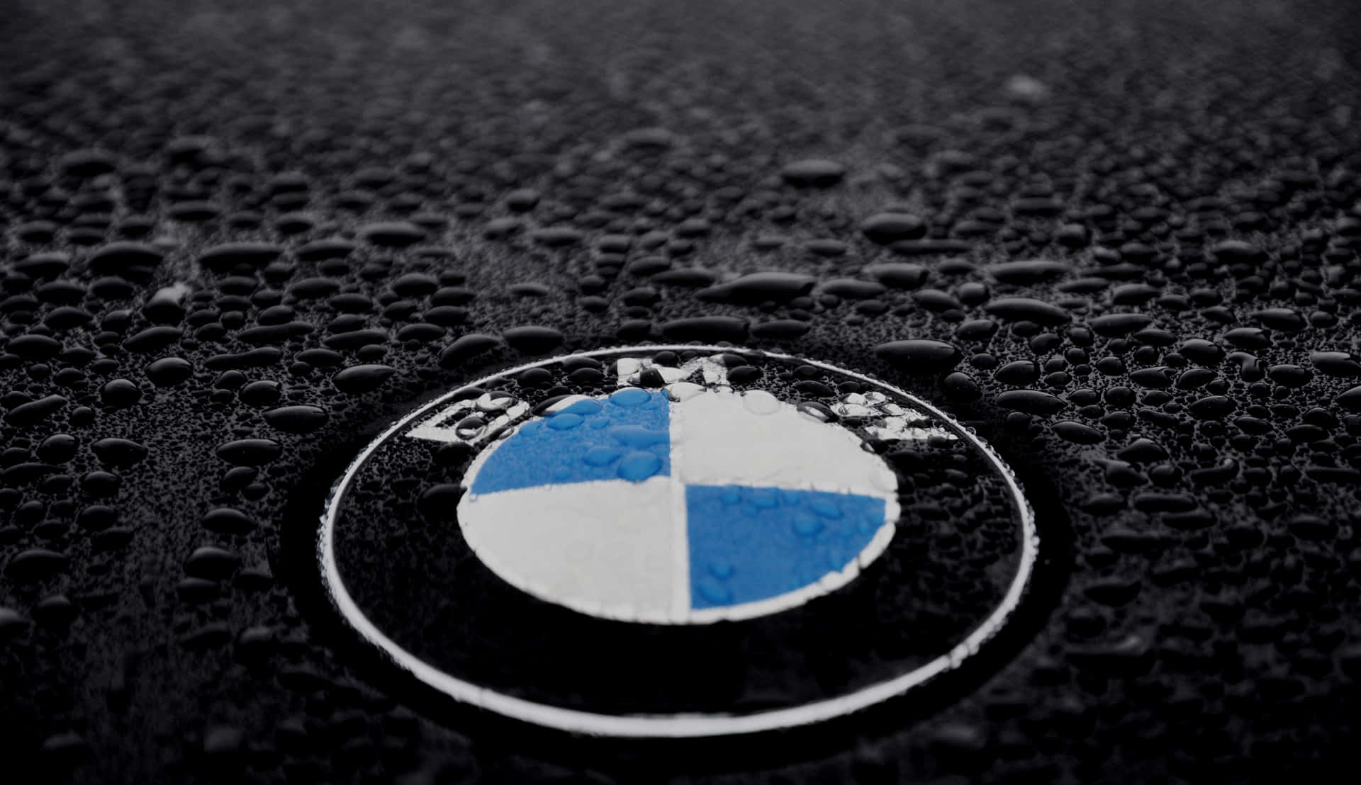 Bmw Logo 桌布 壁紙 — BMW標誌在濕潤的引擎蓋上特寫，雨滴在柔和光線下閃爍。