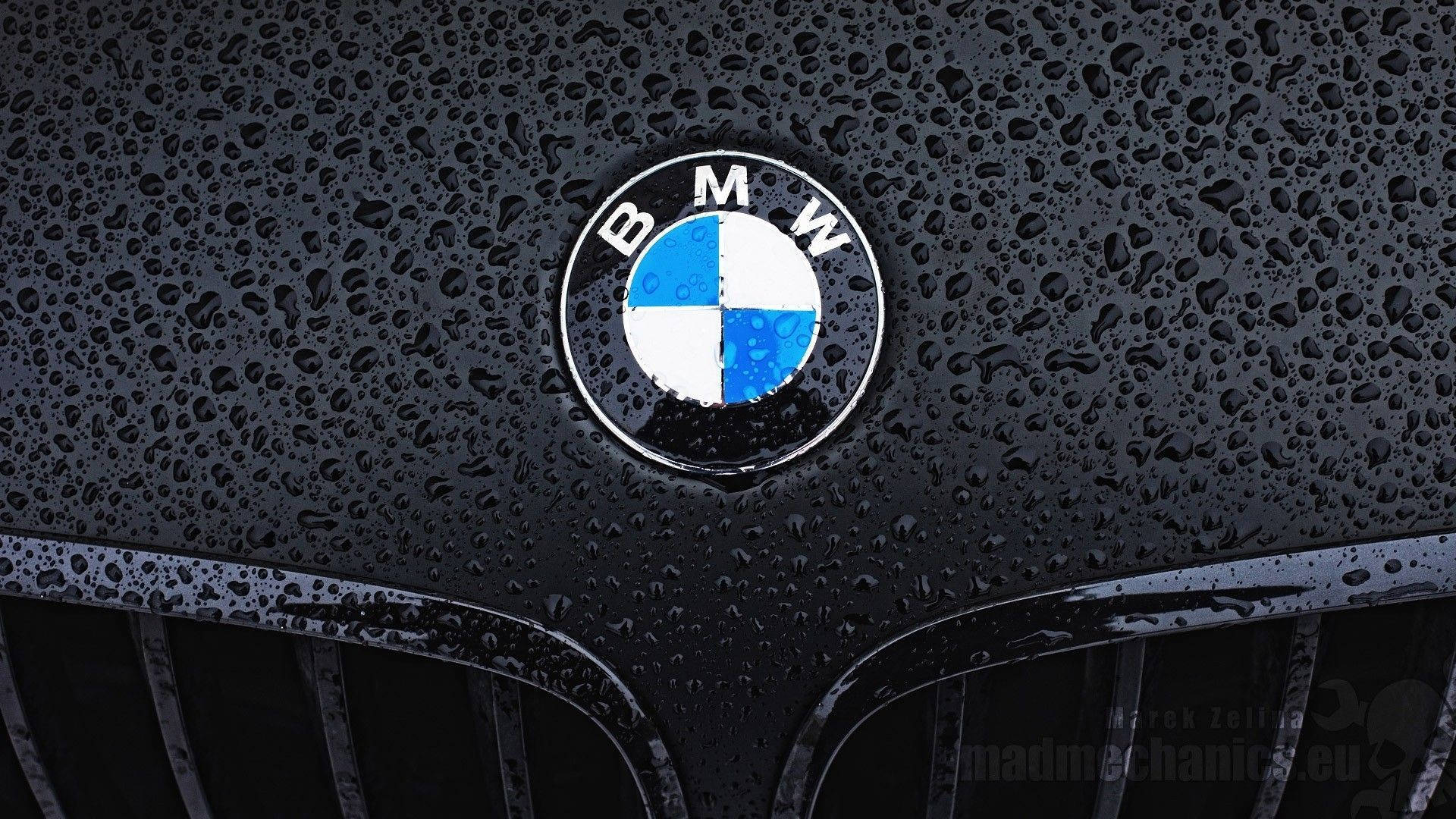 m 桌布 壁紙 — BMW標誌特寫，位於濕透的黑色引擎蓋上，雨滴在柔和光線下閃爍。