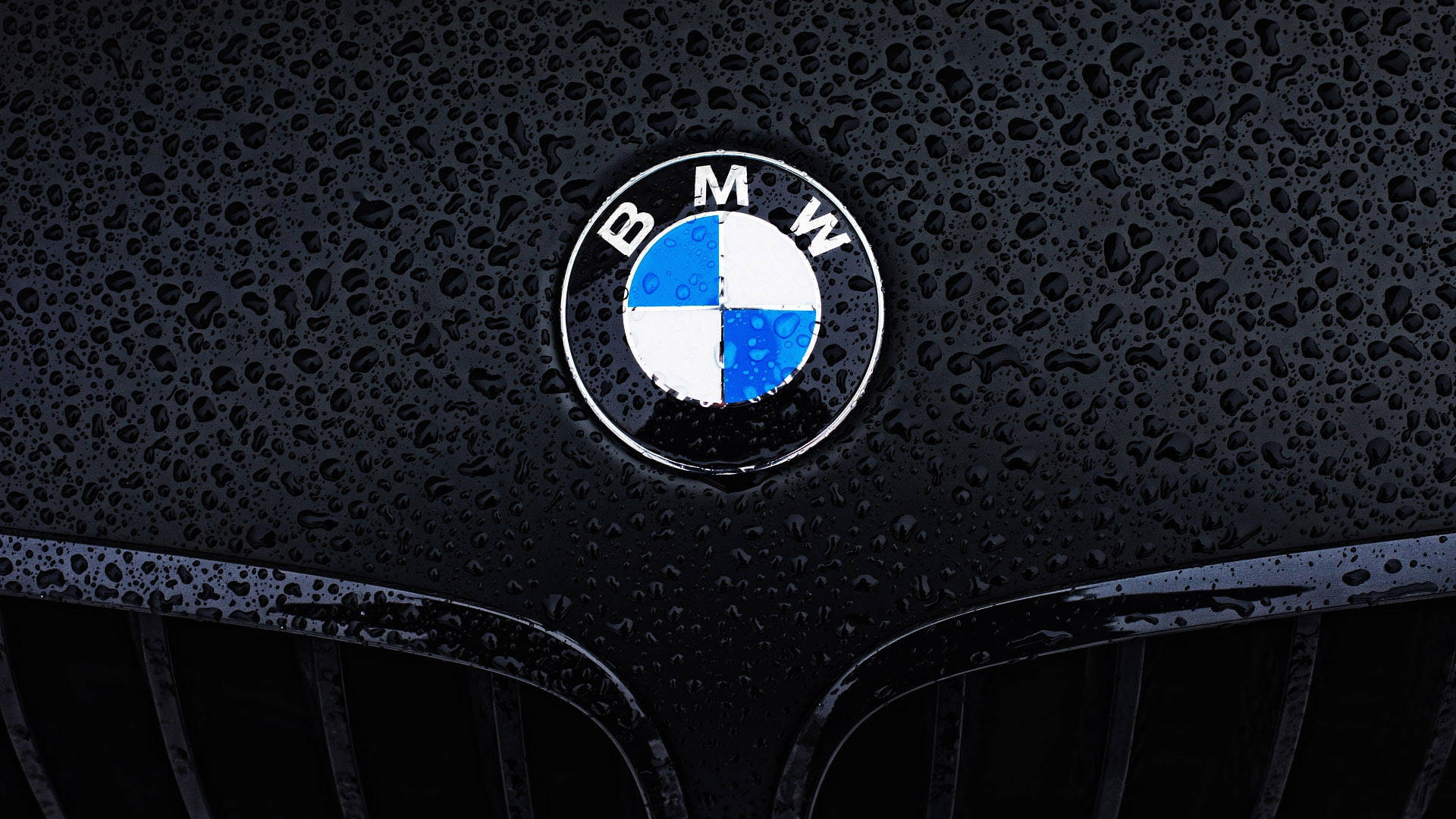 BMW 動圖 桌布 壁紙 — BMW標誌特寫，位於濕透的黑色引擎蓋上，雨滴在柔和光線下閃爍。