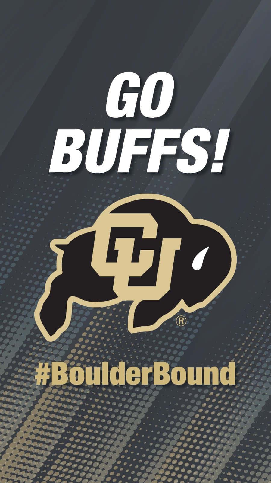  壁紙 — 大膽的黑金水牛標誌，帶有「GO BUFFS!」文字，位於深色漸變背景上，帶有圓點圖案。