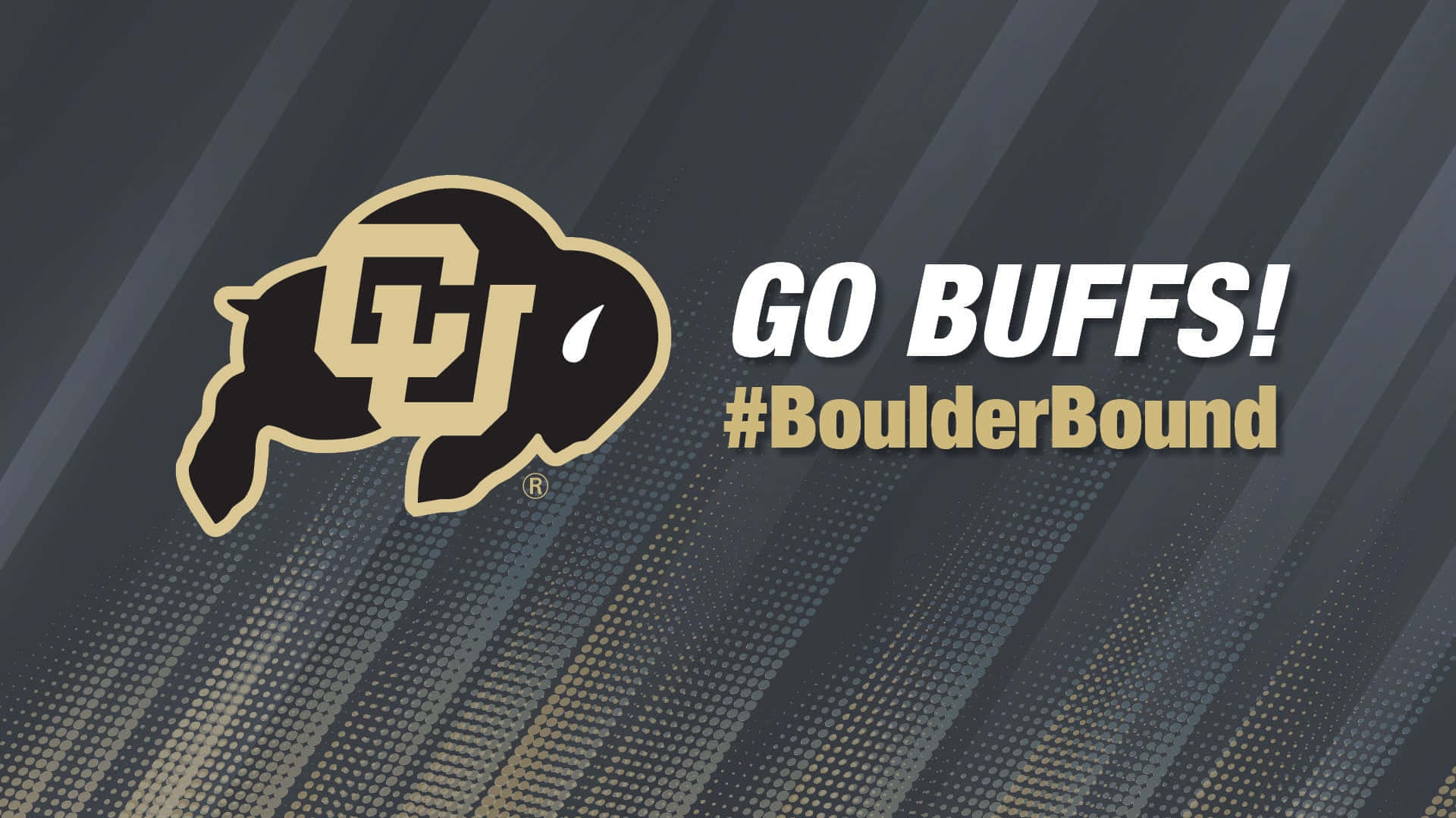  壁紙 — 大膽的黑金水牛標誌，在動態灰色斜紋背景上帶有「GO BUFFS!」文字。