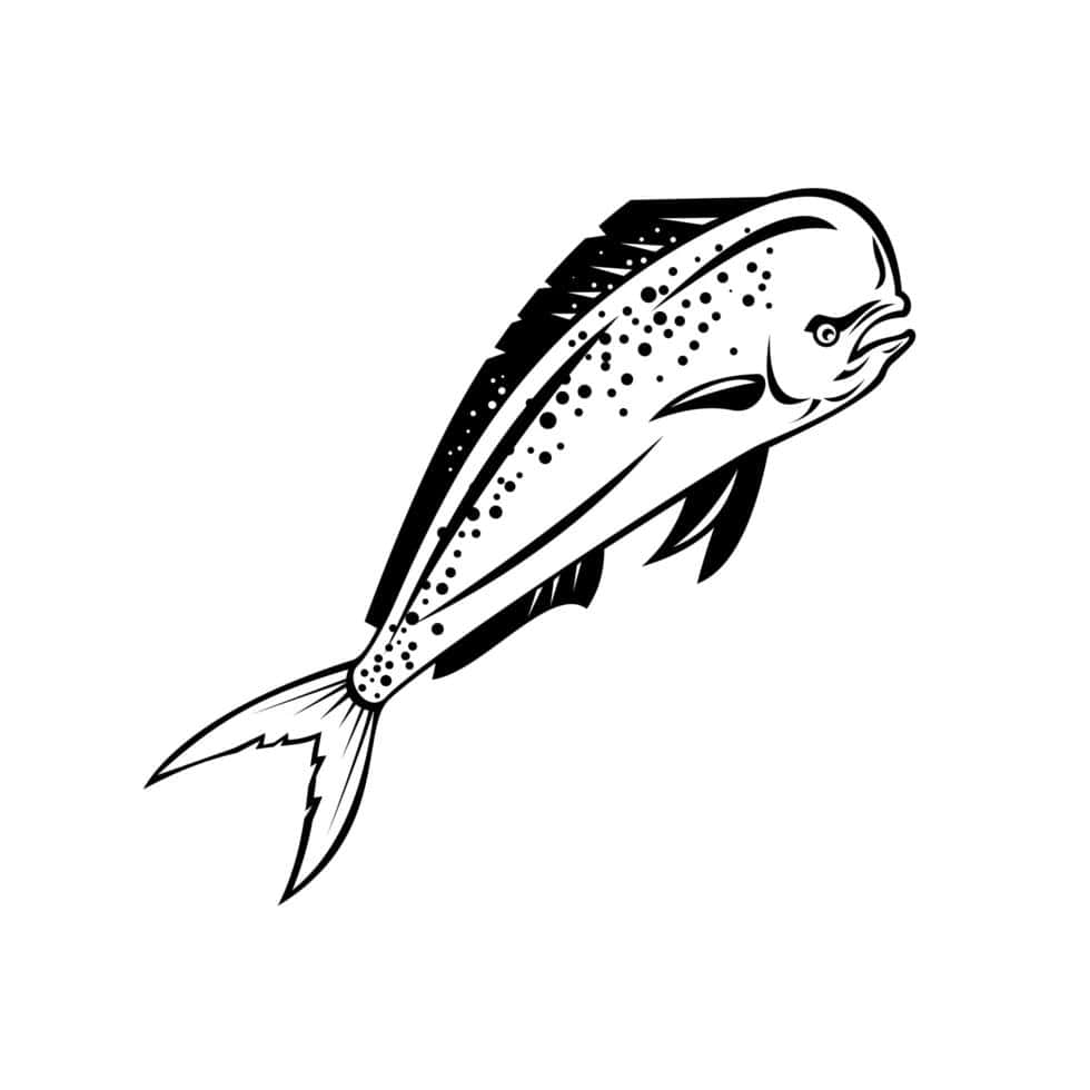  壁紙 — 一條斑點鬼頭刀魚在純白背景上動態躍起的醒目黑白線條藝術插圖。