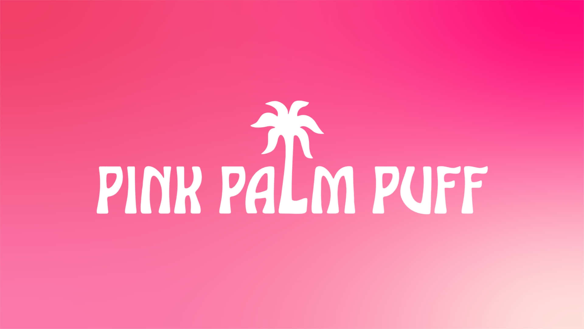  壁紙 — 鮮豔粉紅色漸層背景中央，有白色粗體文字「PINK PALM PUFF」及棕櫚樹圖示。