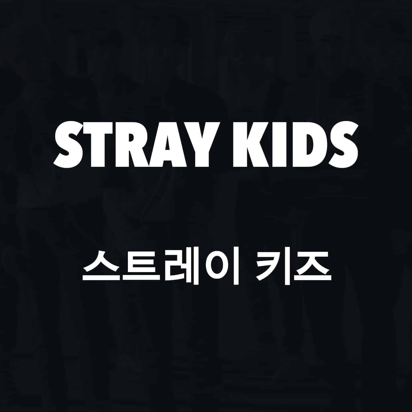  壁紙 — 粗體白色文字在模糊的暗色剪影背景上顯示STRAY KIDS和스태레이 키즈。