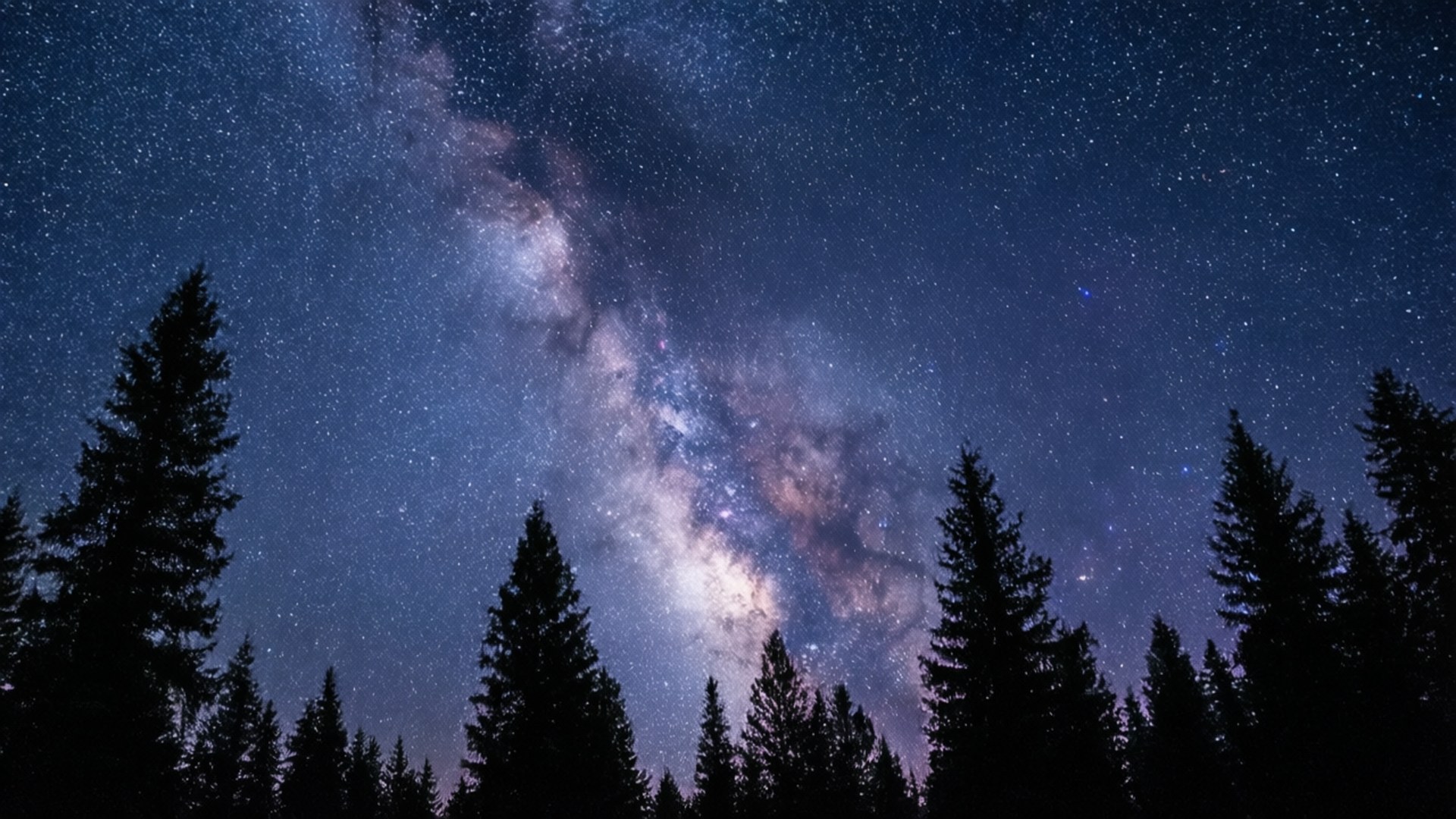 Milky Way Pines 壁紙 — 令人嘆為觀止的銀河系景觀，在深藍色的夜空中拱起，上方是高聳松樹的剪影。