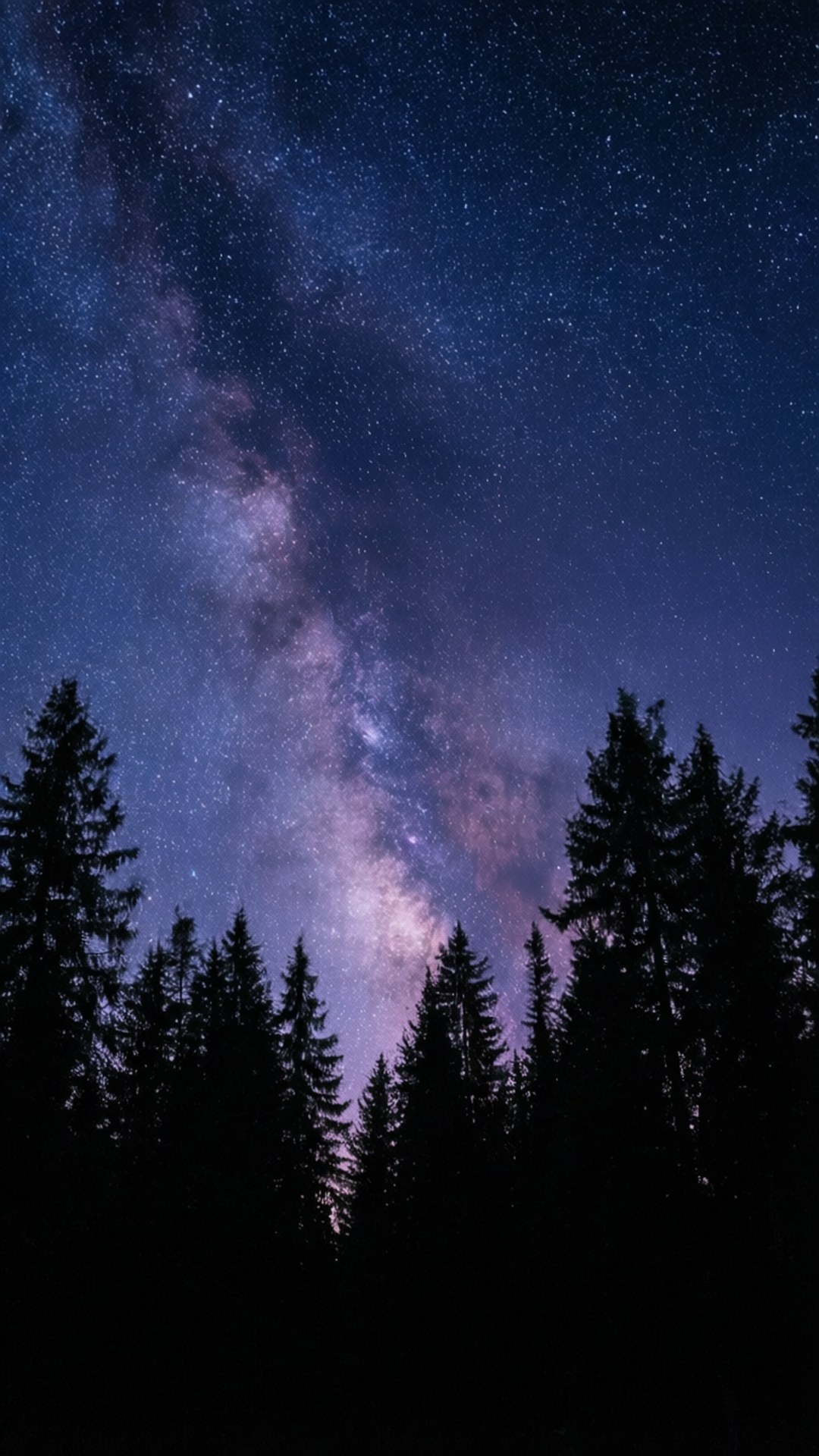 Starry Forest Night 壁紙 — 令人嘆為觀止的銀河系景觀，在高大松樹的密集剪影上方，散發出充滿活力的紫色和藍色光芒。