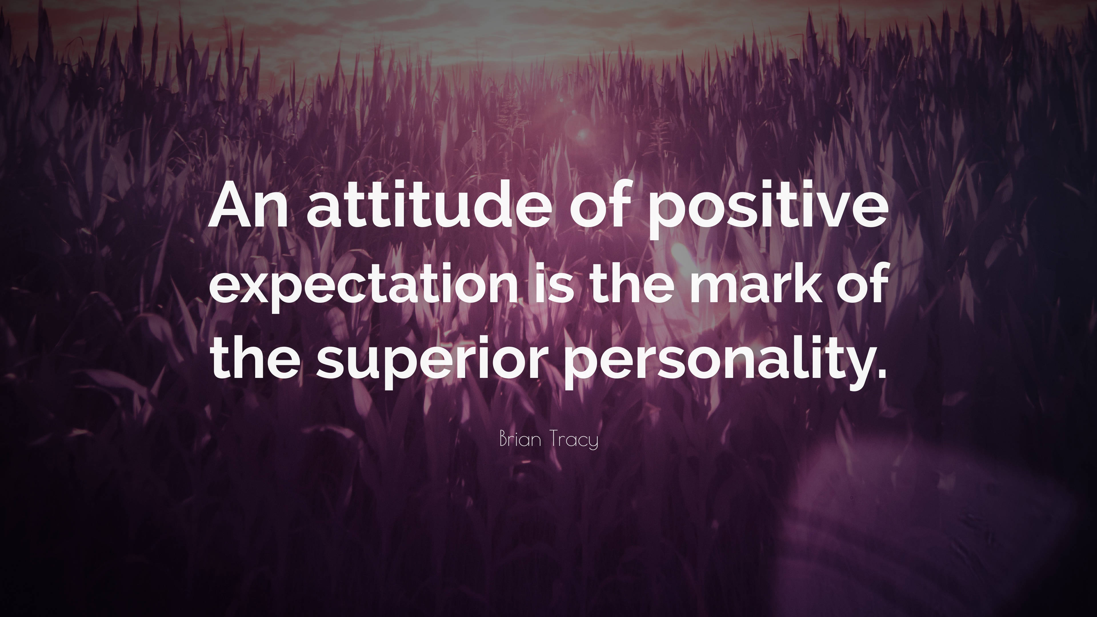 Positive Quotes 桌布 壁紙 — Brian Tracy 的一句勵志名言覆蓋在黃昏時分紫色調的高草田野上。