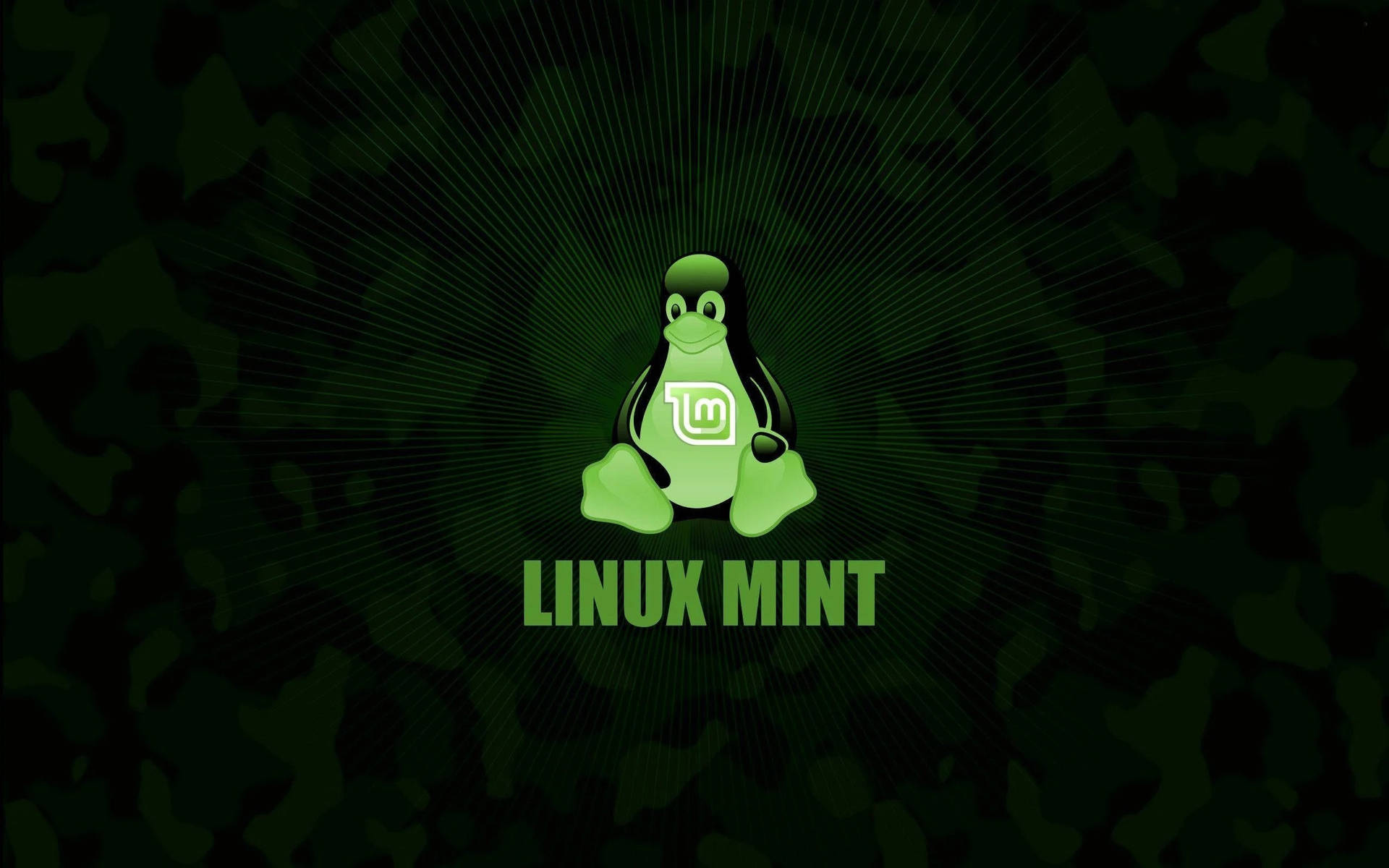 深綠色迷彩背景上的綠色Linux Mint企鵝標誌。 — Linux 壁紙