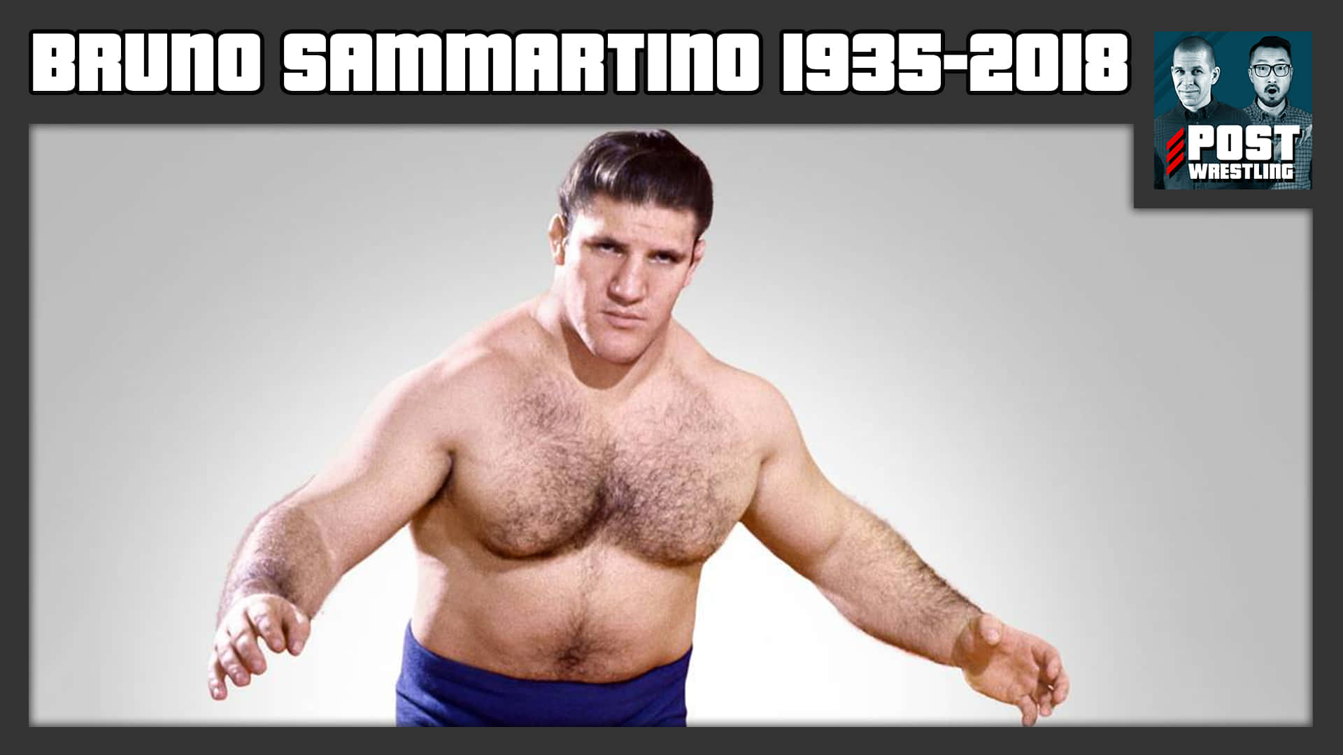 摔角 桌布 壁紙 — Bruno Sammartino 赤裸上身，穿著藍色短褲，在純色工作室背景前擺出經典摔角姿勢。