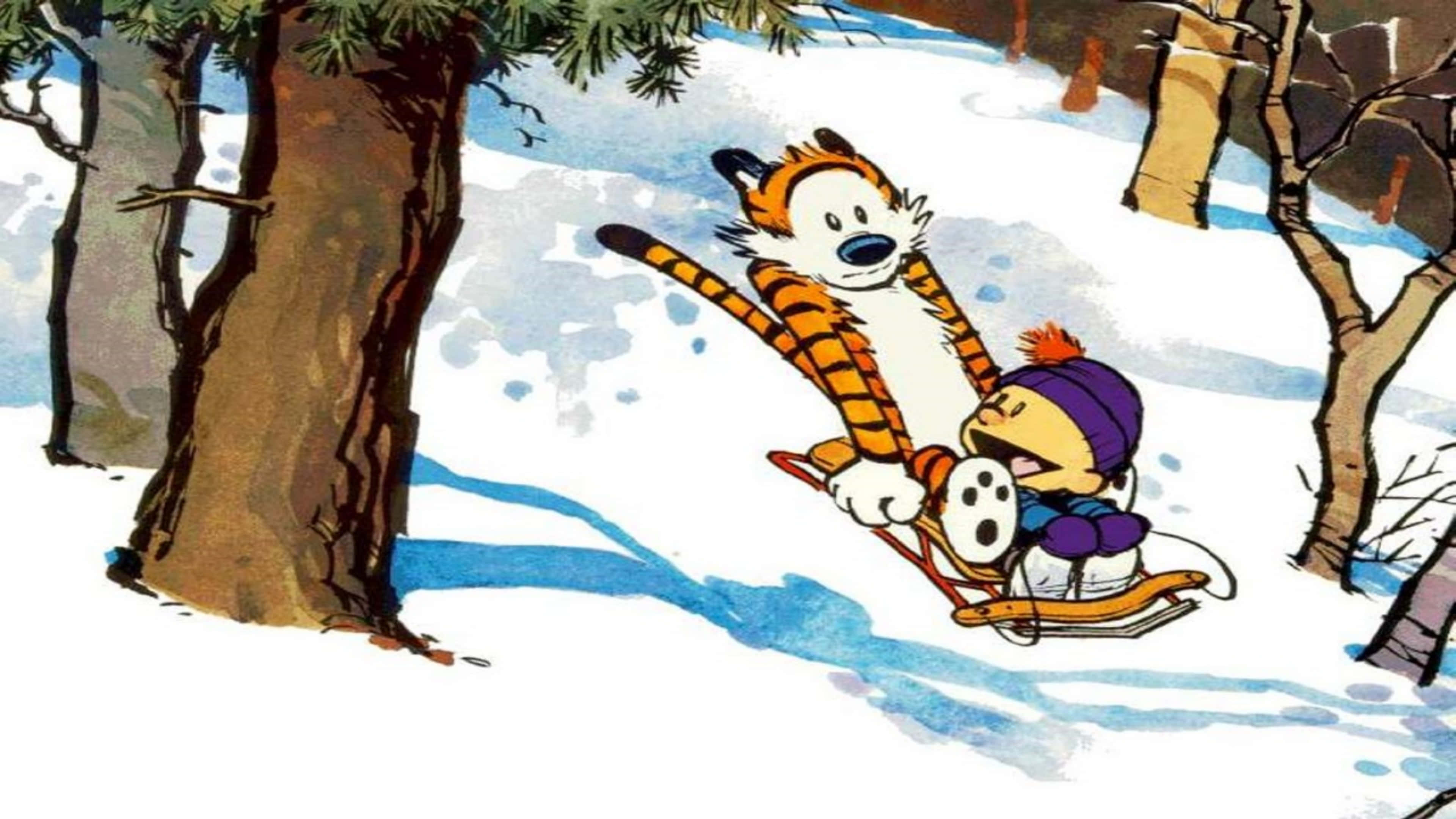 桌布 壁紙 — Calvin 和老虎在雪山上坐雪橇滑下，穿過一個有光禿禿樹木的冬季森林。