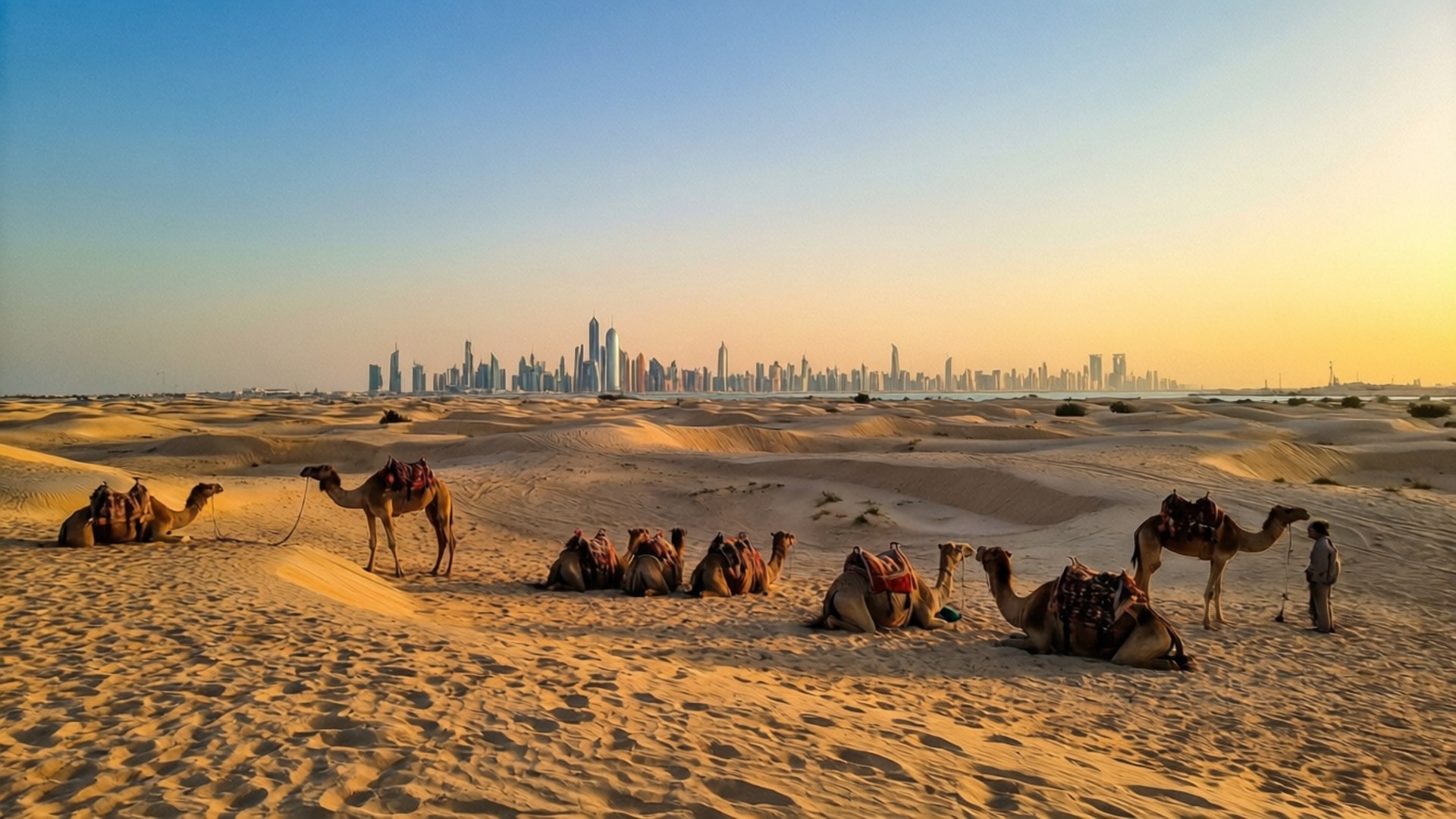 Kuwait Desert Dusk 壁紙 — 駱駝在金色沙漠沙丘上休息，杜拜未來主義的天際線在日落時閃耀。