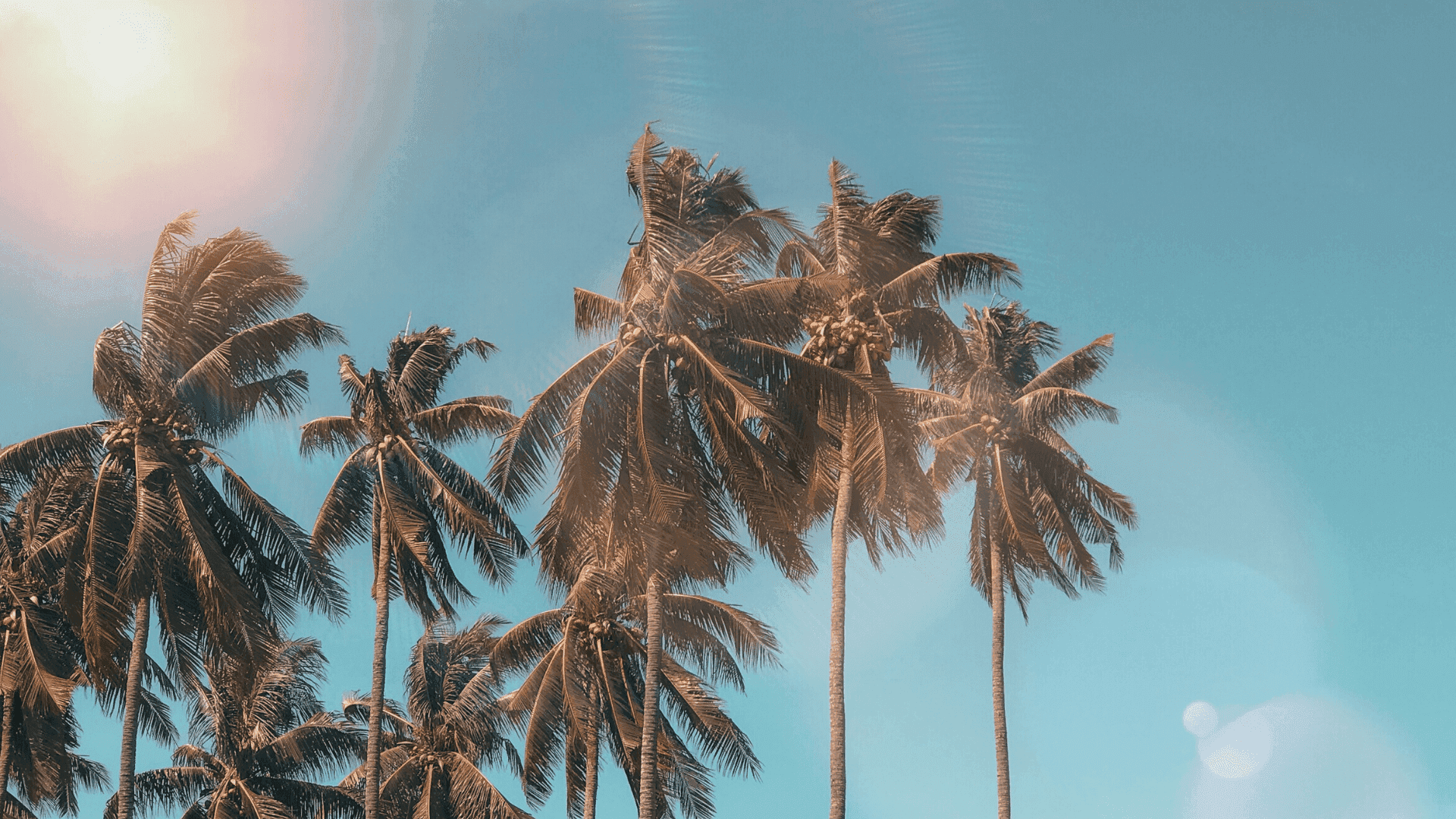 Canva 背景 壁紙