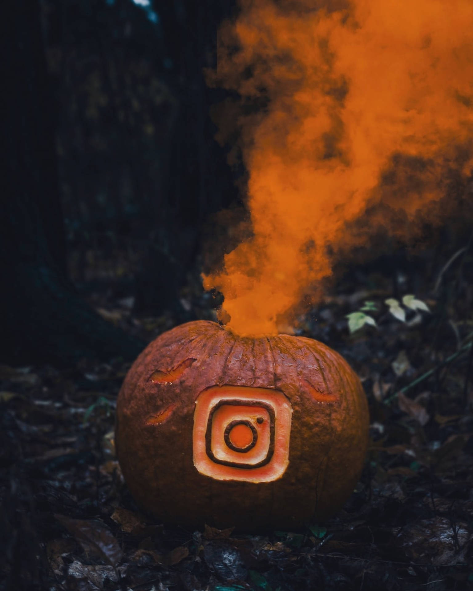 刻有Instagram標誌的雕刻南瓜在黑暗的森林中散發出橙色煙霧。 — Instagram 壁紙