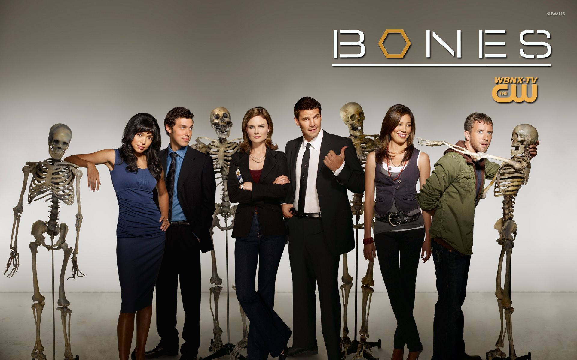 tv 桌布 壁紙 — Cast of Bones 在明亮燈光下，於純色工作室背景前自信地與完整骨架合照。