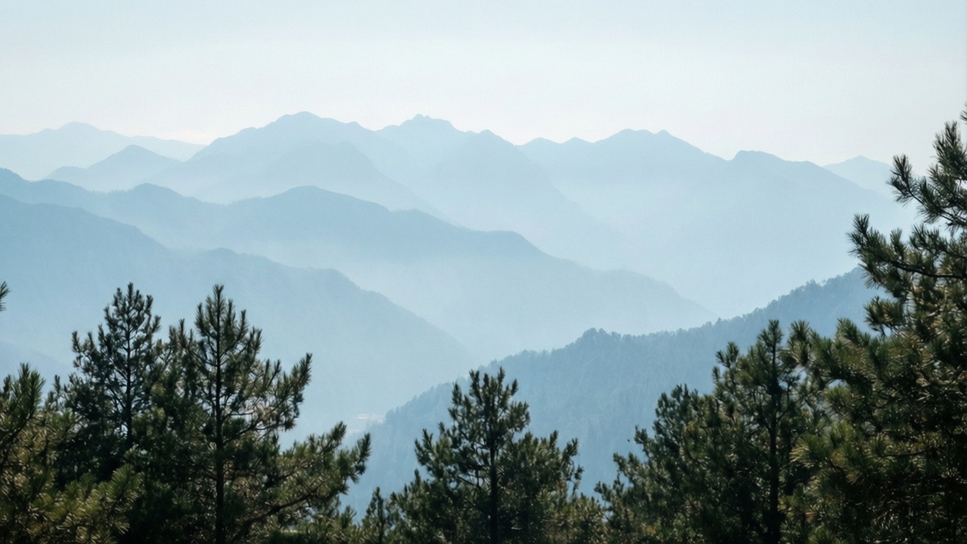 Misty Blue Peaks 壁紙 — 層層疊疊的山脈在霧氣中逐漸消失，深綠色的松樹框住了前景。