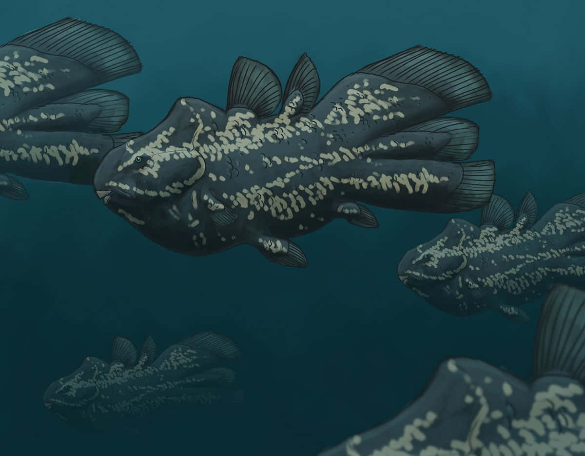  壁紙 — 插圖中的古代魚類帶有斑點圖案，在深藍綠色海洋中優雅游動。