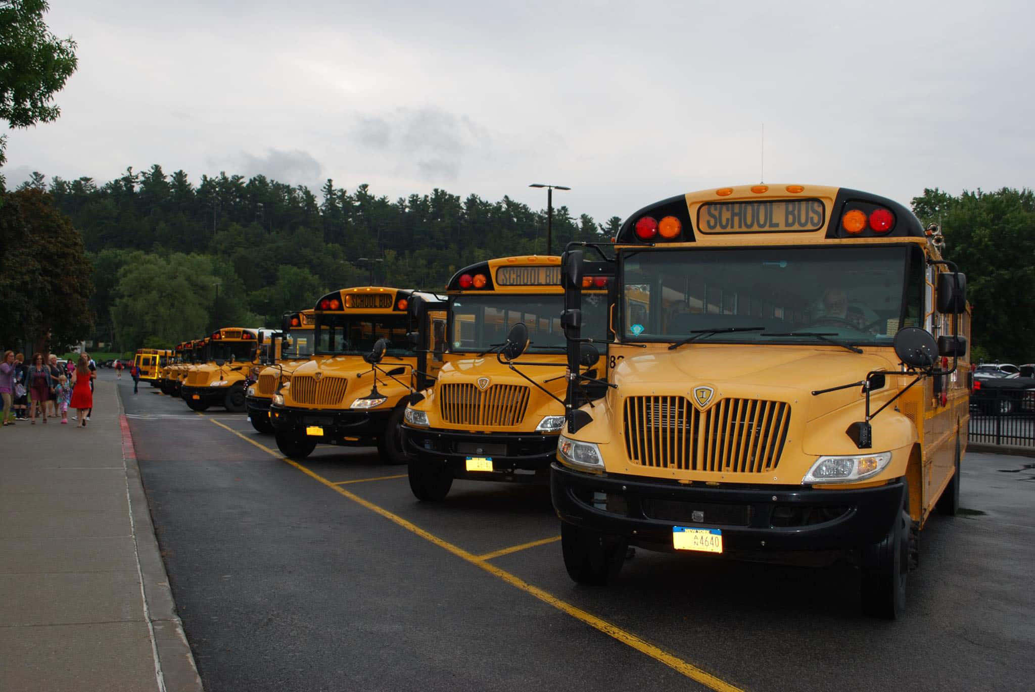 Yellow School Bus 桌布 壁紙 — 一長排亮黃色校車停放在停車場，孩子們在陰天天空下在附近行走。