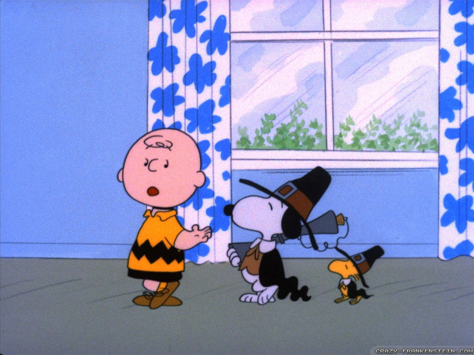 史努比 桌布 壁紙 — Charlie Brown 和 Snoopy 穿著火雞服裝站在有藍色花卉窗簾的窗邊。