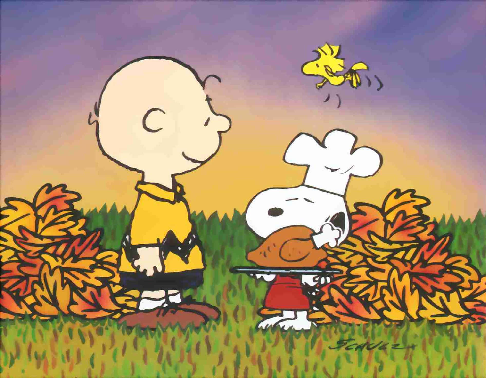 Cartoon Thanksgiving 桌布 壁紙 — Charlie Brown 和 Snoopy 戴著廚師帽站在秋天的落葉中，Woodstock 在他們頭頂飛過，背景是紫色的日落天空。