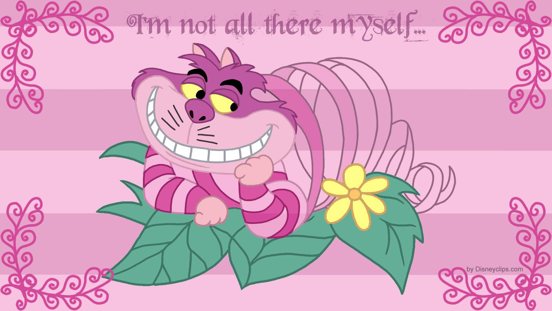 wonderland 桌布 壁紙 — Cheshire Cat 躺在綠葉上，露出燦爛的笑容，背景是粉紅色條紋，飾有花卉漩渦。