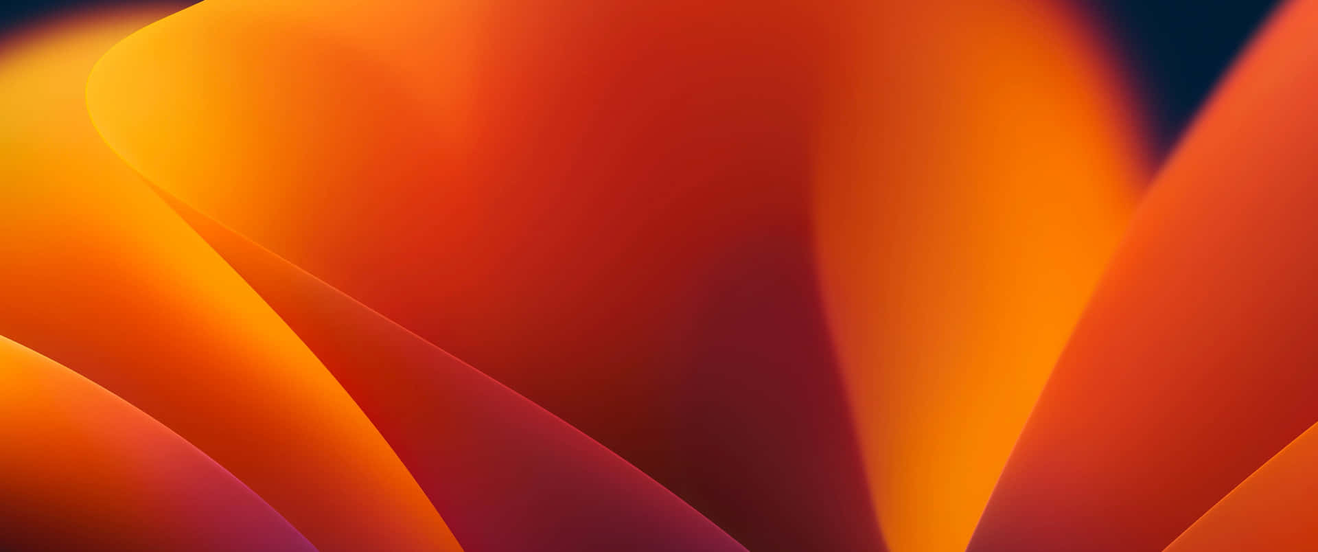  壁紙 — 充滿活力的橙紅色和深紫色抽象波浪融合成平滑的漸變背景。