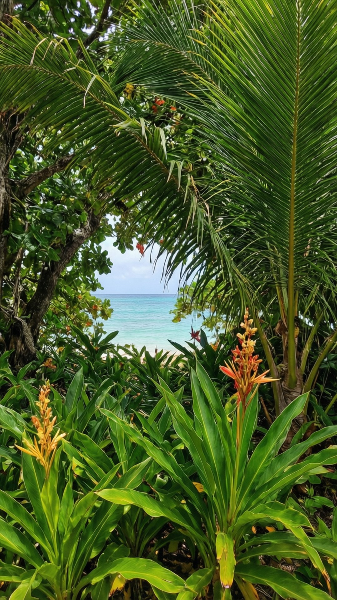 Jungle to Beach View 壁紙 — 充滿活力的熱帶植物透過天然綠色拱門框出寧靜的綠松石海景。