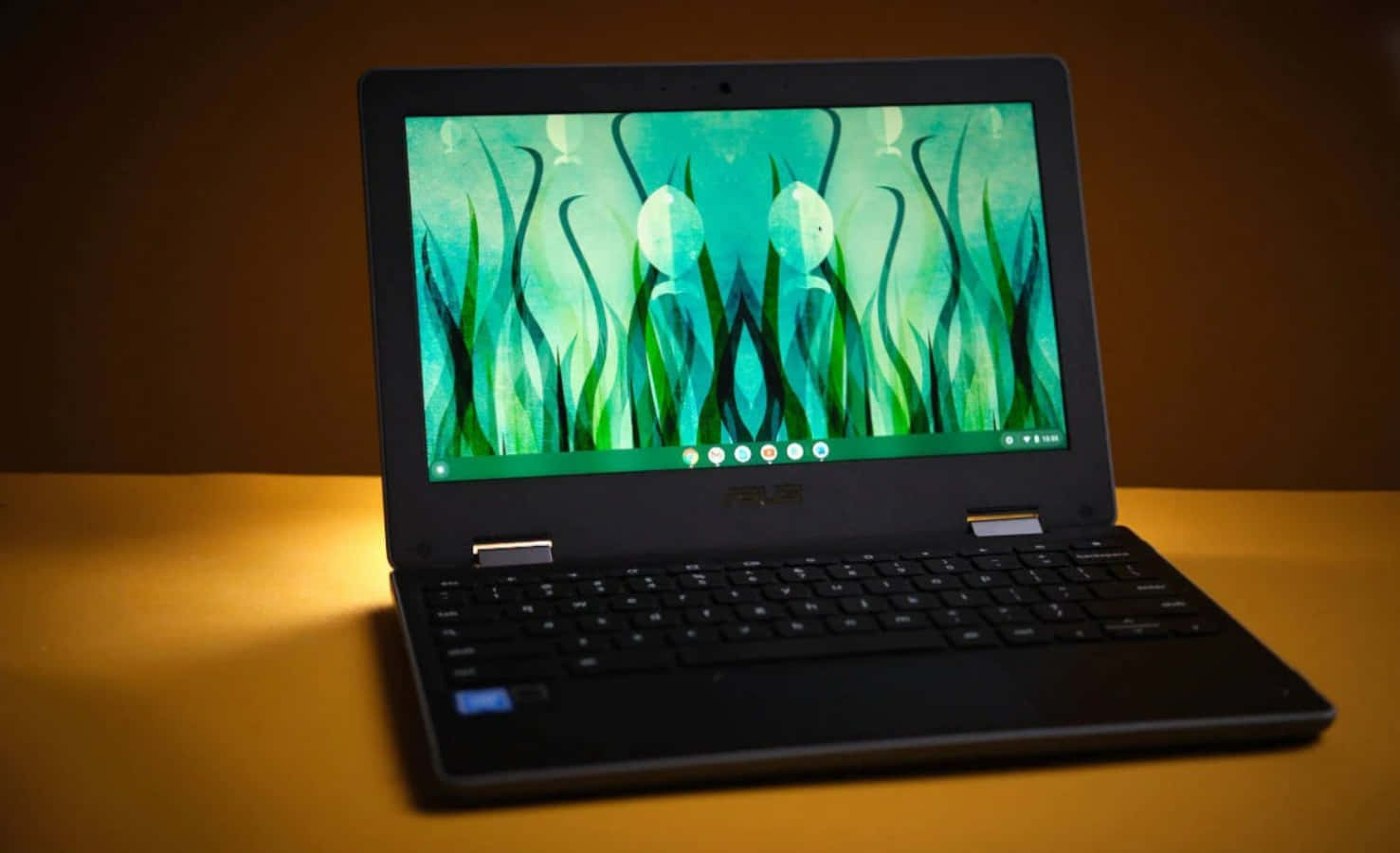 Chromebook 圖片 — Chromebook 壁紙