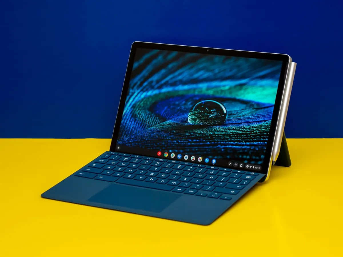 Chromebook 圖片 — Chromebook 壁紙