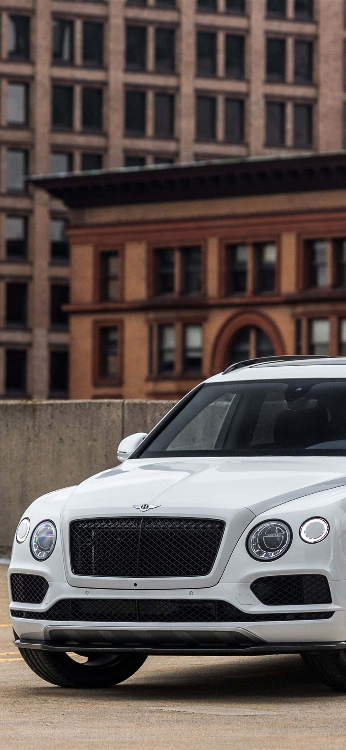 Bentley Bentayga 桌布 壁紙 — 一輛純白色的賓利Bentayga SUV停放在城市的街道上，背景是歷史悠久的磚造建築。