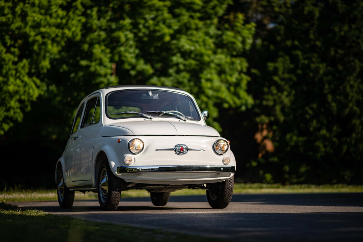 Fiat 500 桌布 壁紙 — 一輛純白色的復古飛雅特500在陽光明媚的鄉村道路上行駛，兩旁綠樹成蔭。