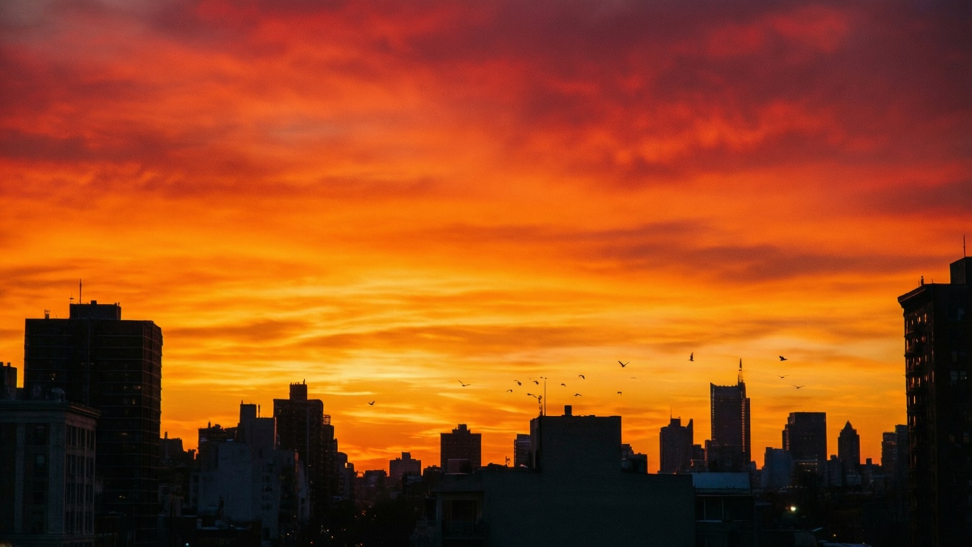 City Sunset Silhouette 壁紙 — 城市天際線剪影，襯著火紅橙色的日落天空，鳥兒飛翔。