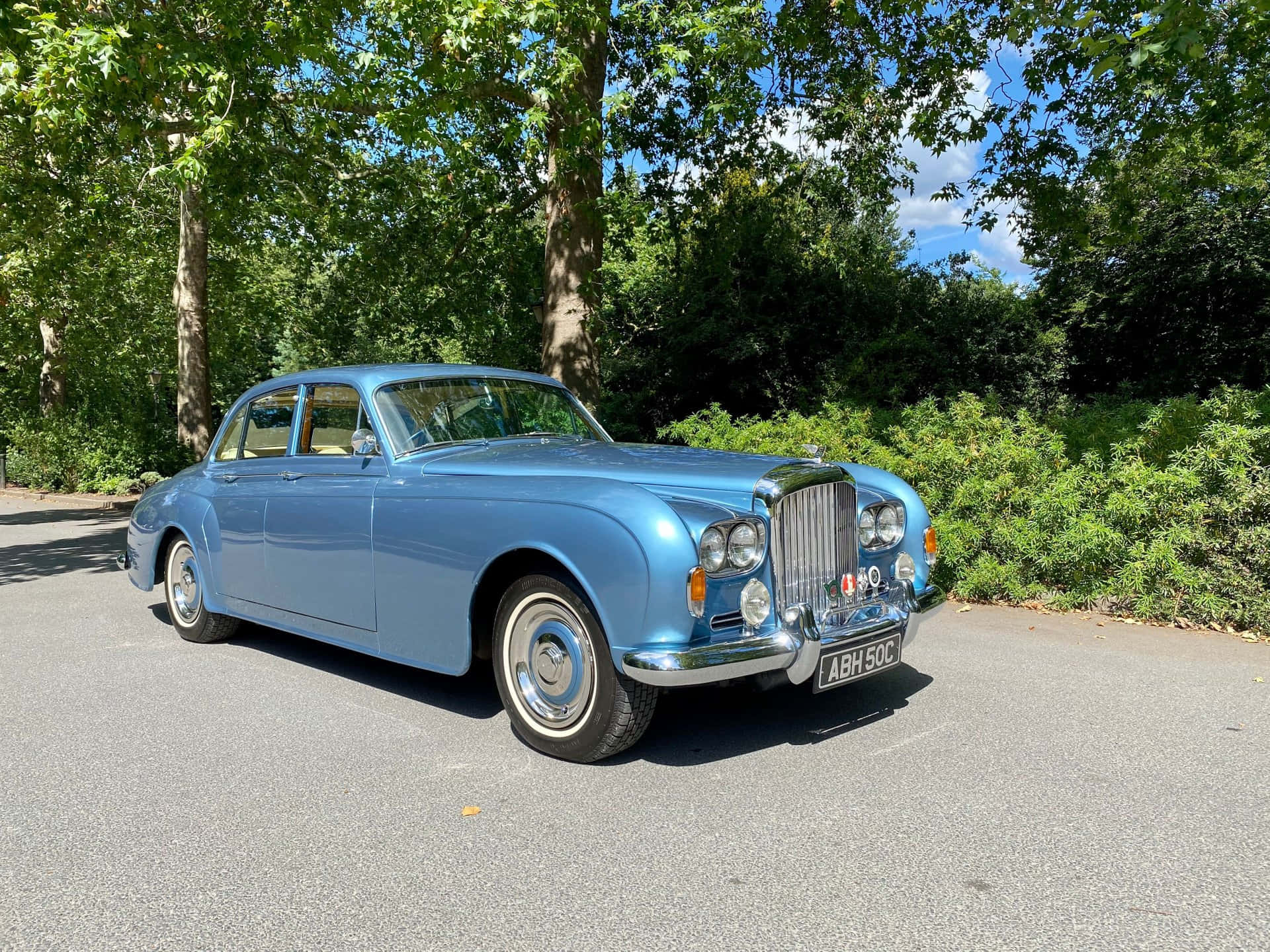 Bentley S3 桌布 壁紙 — 一輛經典淺藍色賓利轎車在燦爛陽光下閃閃發光，停在綠樹成蔭的瀝青路上，背後是茂密的綠色樹葉。