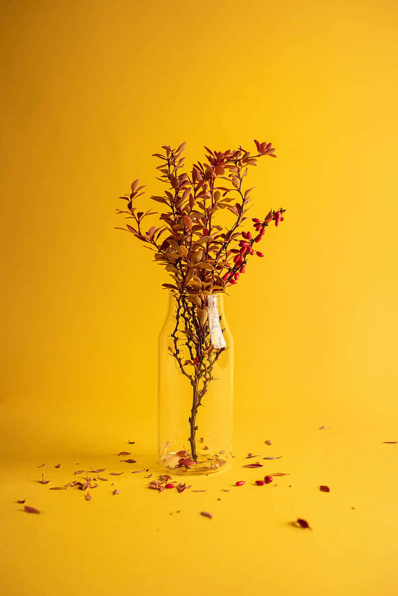  壁紙 — 一個透明玻璃瓶裝著乾燥的紅色莓果枝條，襯以鮮黃色背景，散落著花瓣。