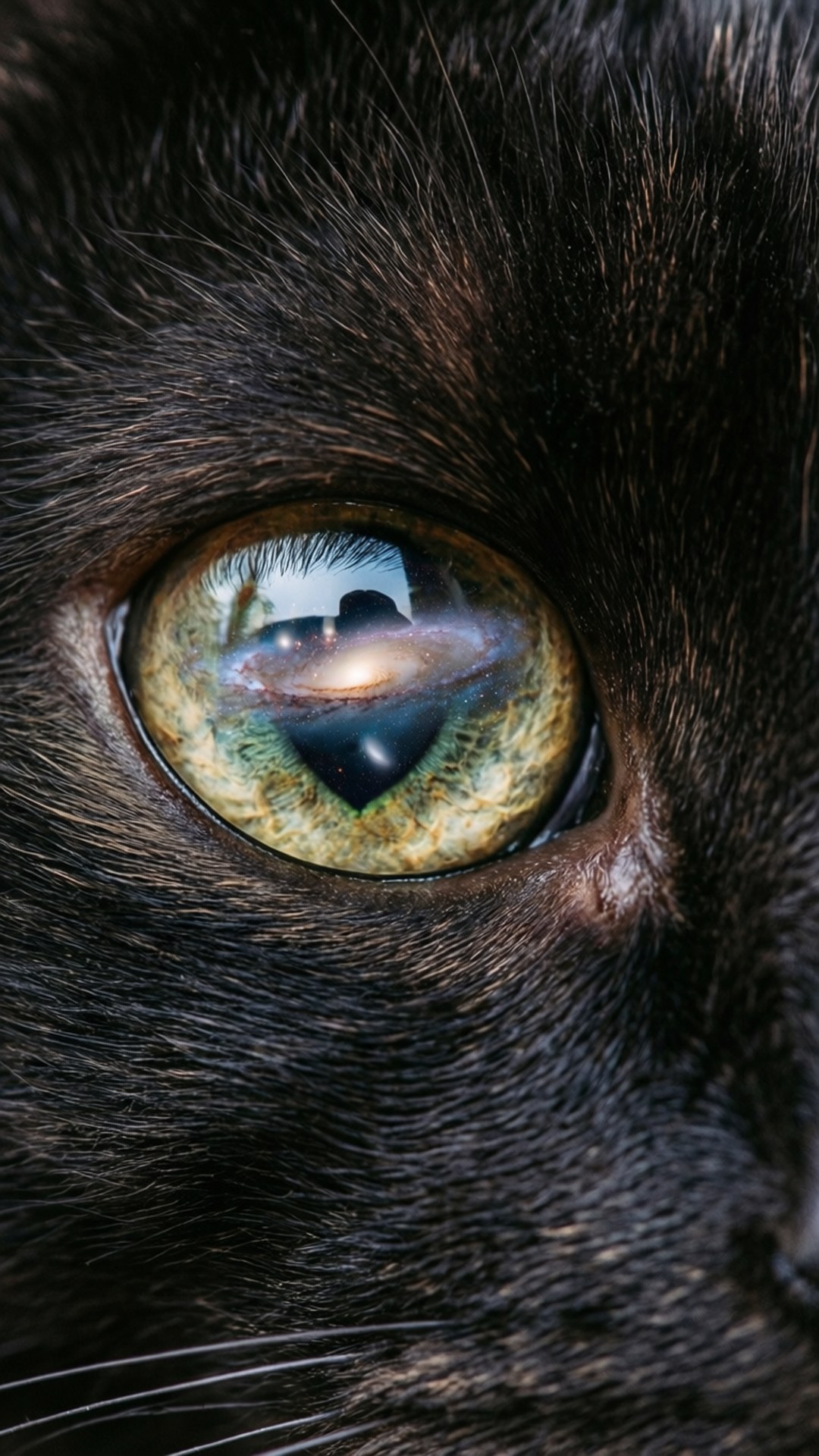 Galaxy Cat Eye 壁紙 — 黑貓眼睛的特寫，反射出一個充滿活力的螺旋星系，帶有旋轉的藍色和橙色。