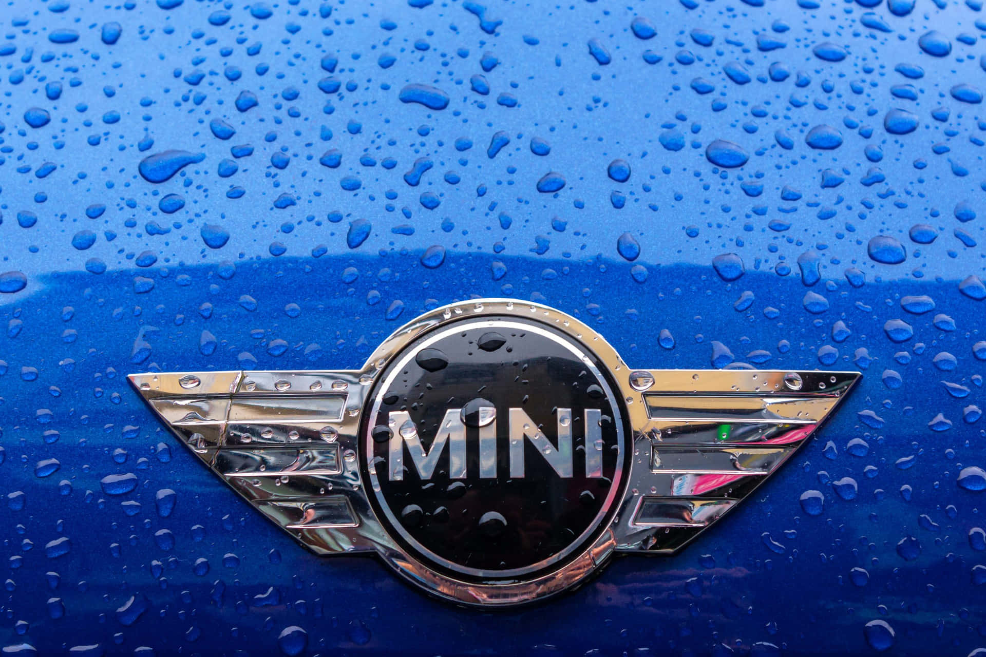  壁紙 — 特寫鏡頭：閃亮的MINI標誌，位於點綴著雨滴的鮮藍色汽車引擎蓋上。