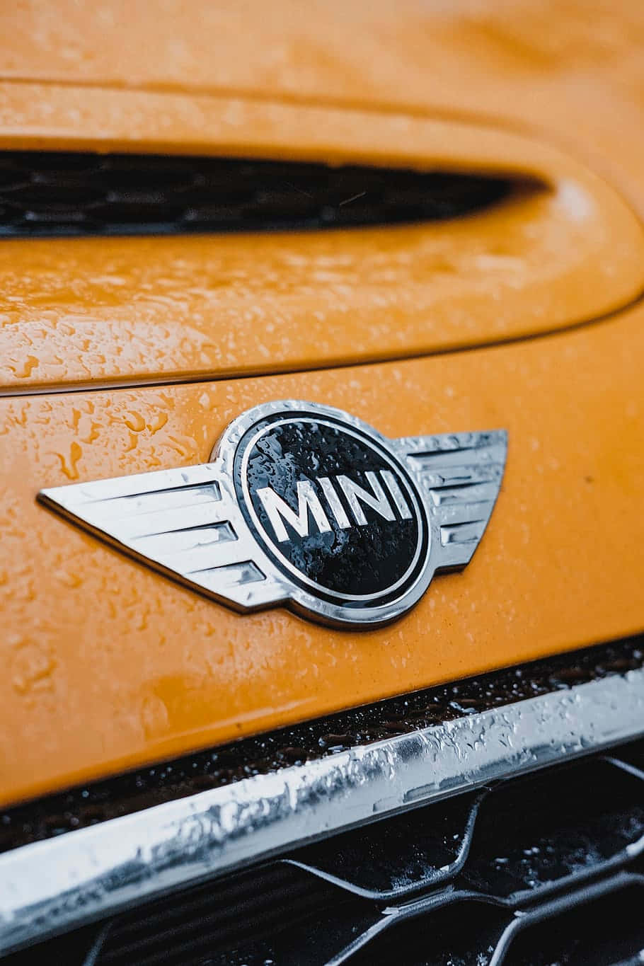  壁紙 — 橙色MINI汽車引擎蓋濕潤的特寫，帶有鍍鉻標誌反射雨滴。