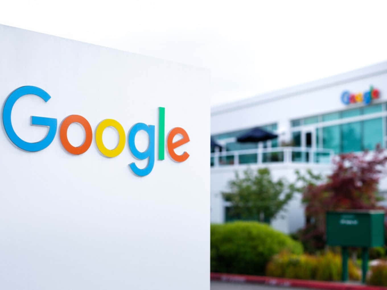 Google標誌牌在企業辦公大樓前，有綠色植物。 — Google 壁紙