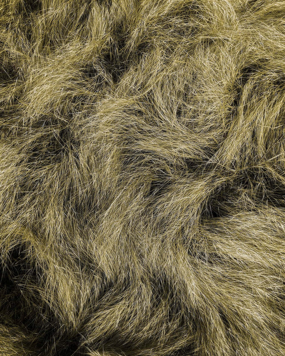 fur 桌布 壁紙 — 密集金棕色草葉的特寫，深色陰影營造出紋理自然圖案。