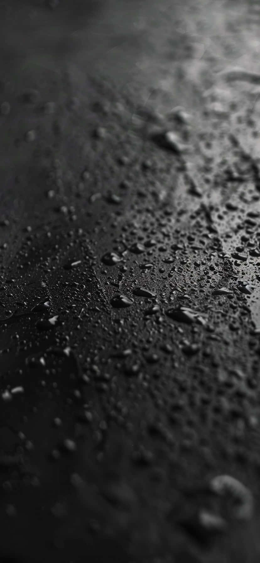  壁紙 — 柔和環境光下，深色紋理表面上閃爍的雨滴特寫。
