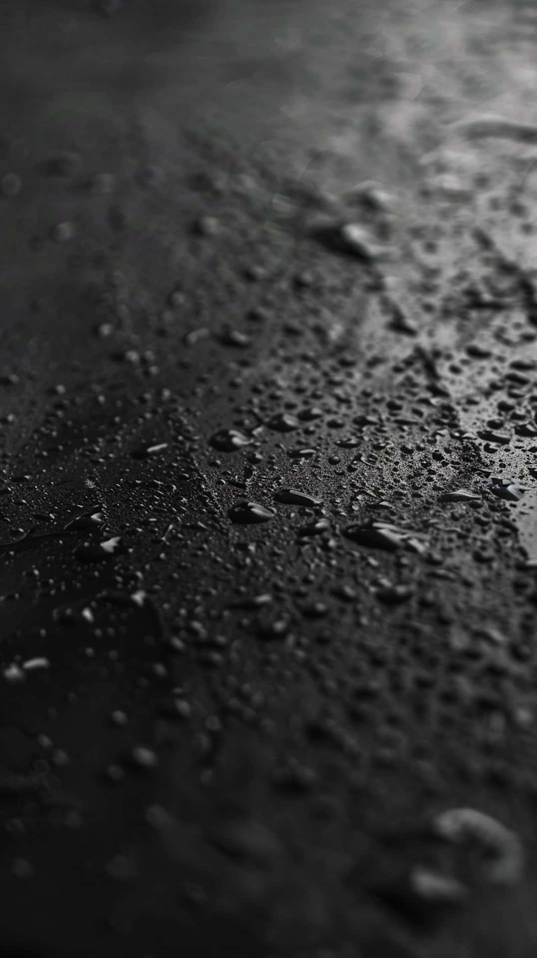  壁紙 — 淺景深下，暗濕表面上閃爍雨滴的特寫。