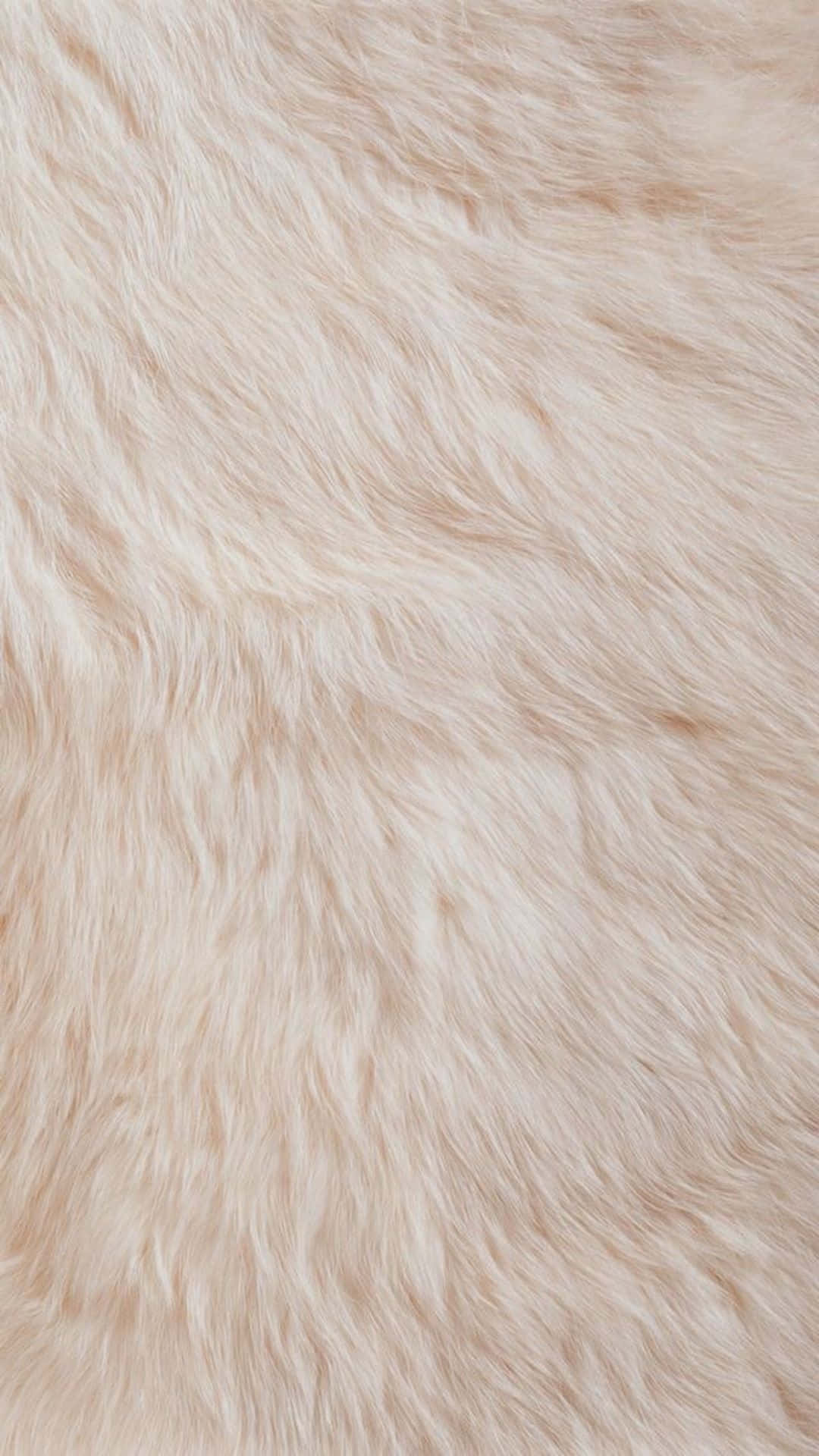 fur 桌布 壁紙 — 米色柔軟蓬鬆人造毛皮紋理的近距離特寫，帶有柔和波浪和自然色調變化。