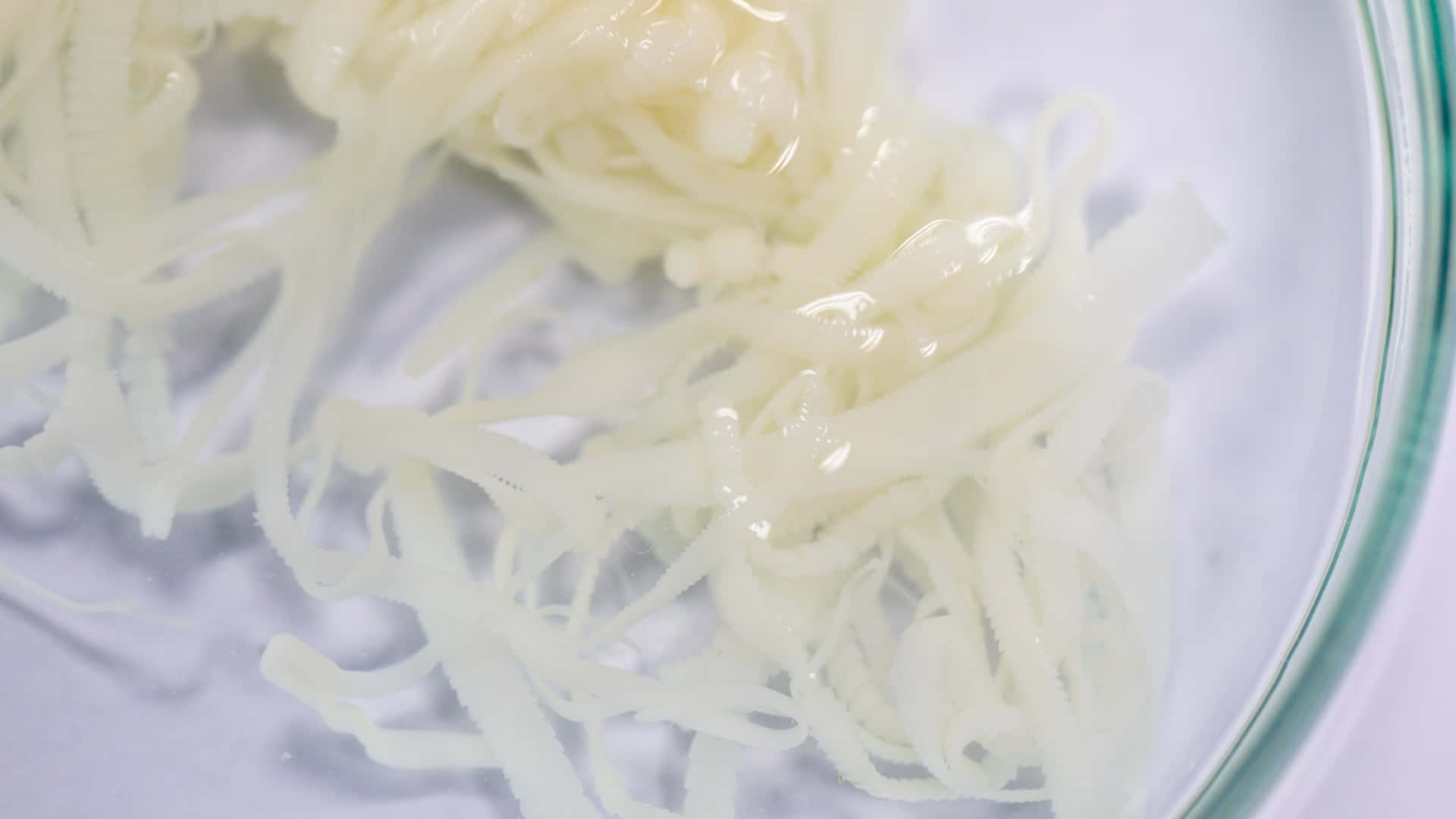  壁紙 — 透明玻璃碗中浸泡在水中的半透明白色麵條的特寫。