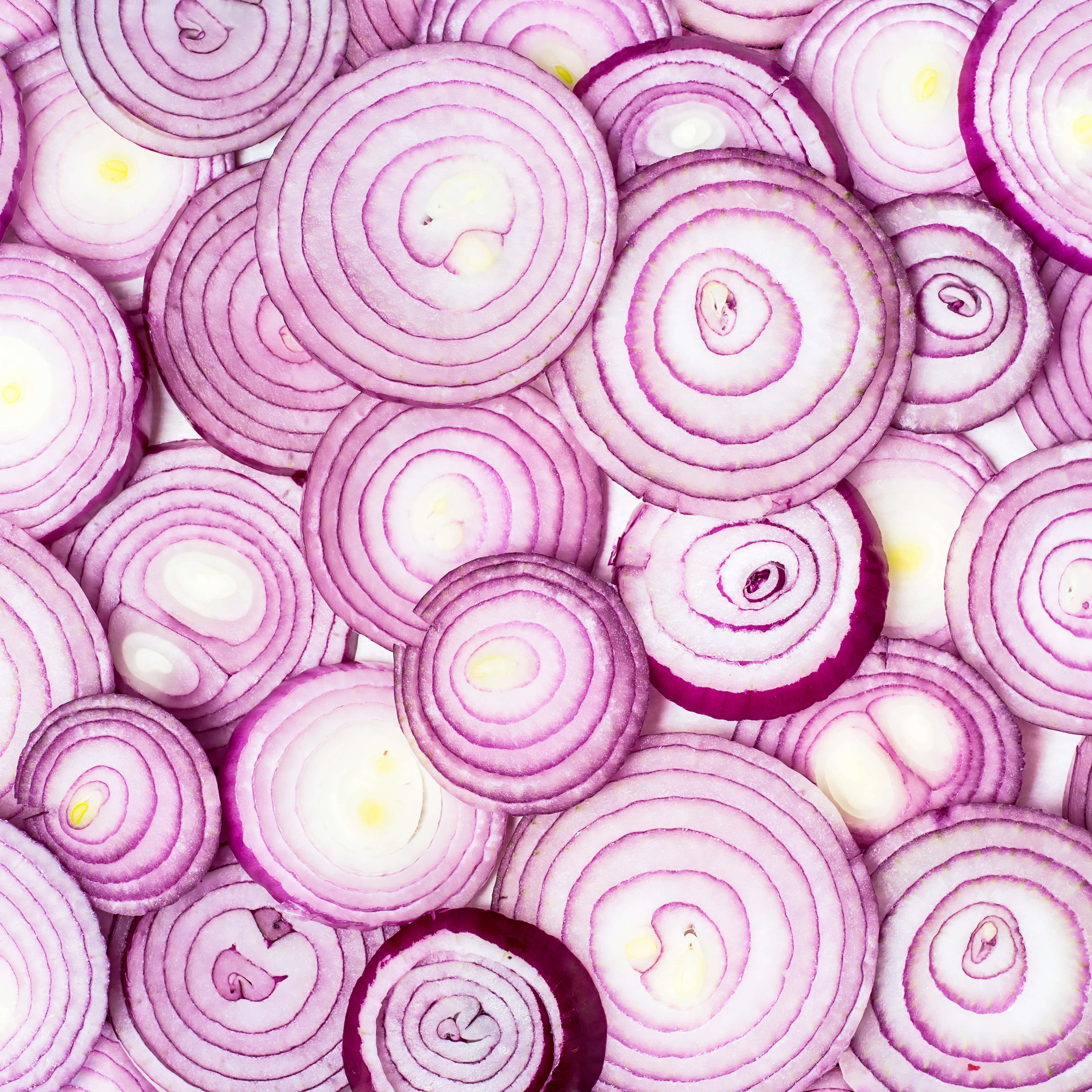 Purple Onions 桌布 壁紙 — 鮮紫色洋蔥片的特寫，展現出複雜的同心環和奶油白色的中心。
