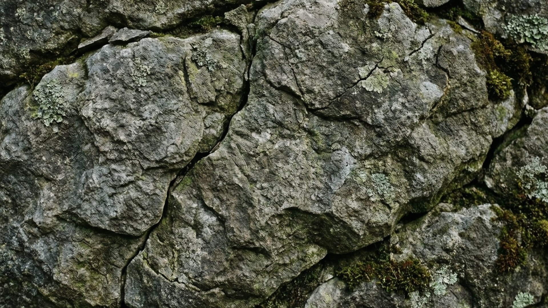 Weathered Grey Stone 壁紙 — 特寫風化的灰色岩石，裂縫中生長著苔蘚和地衣，在柔和自然光下。