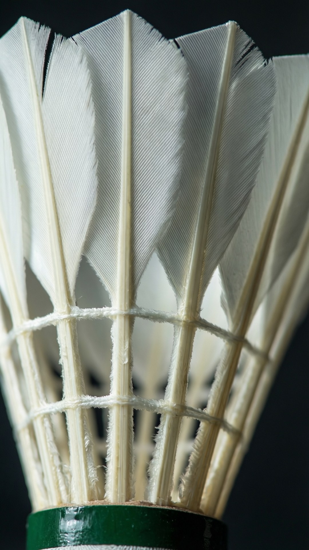Feather Detail 壁紙 — 白色羽毛球羽毛用繩子綁在深色背景上的特寫。