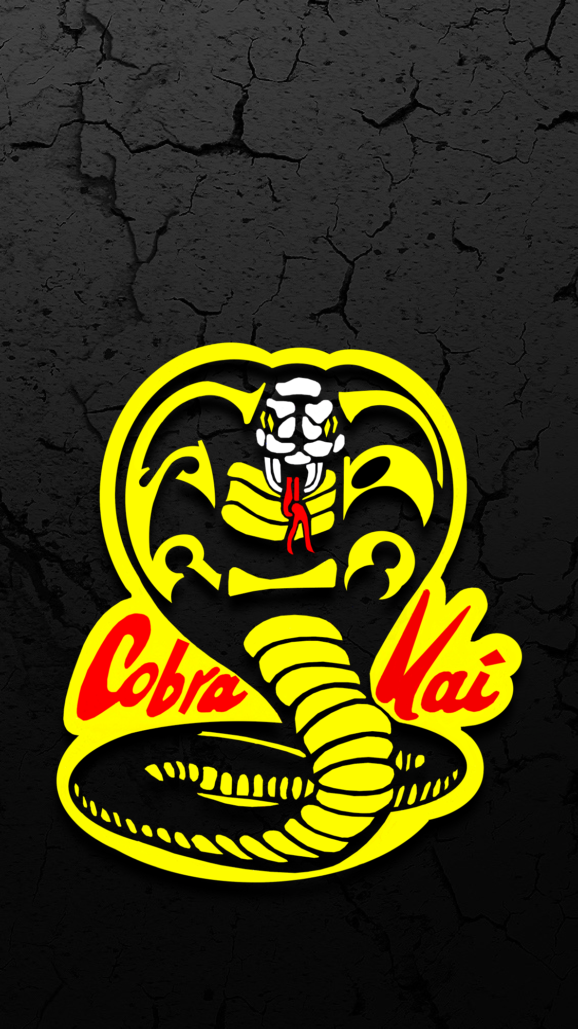 Cobra Kai 道場 - 訓練進行中 壁紙
