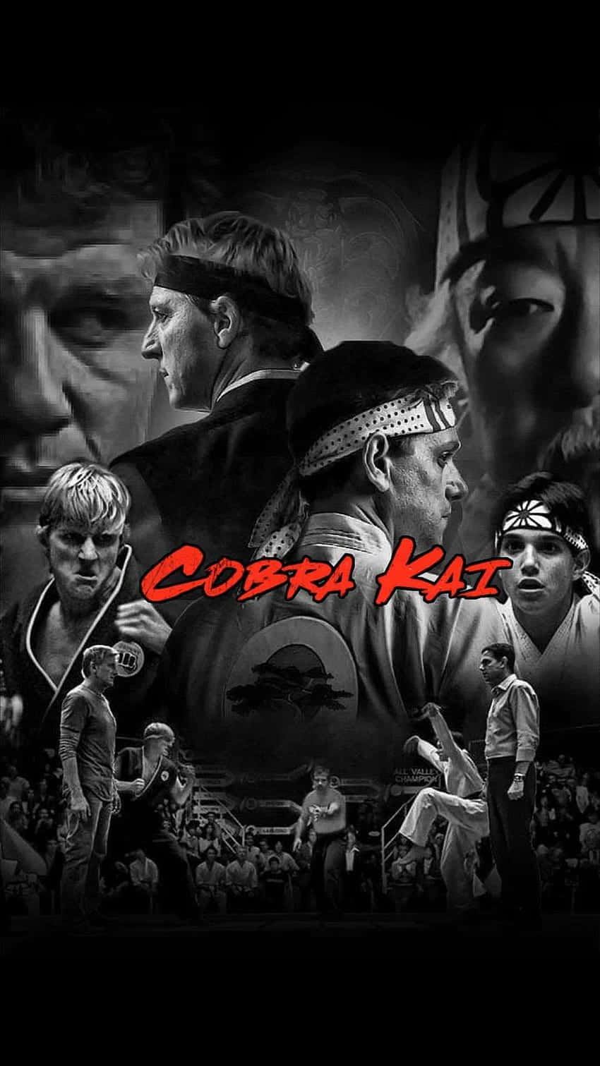 眼鏡蛇道館 桌布 壁紙 — Cobra Kai 的黑白海報，展示戴頭帶的武術家，帶有紅色標題文字。
