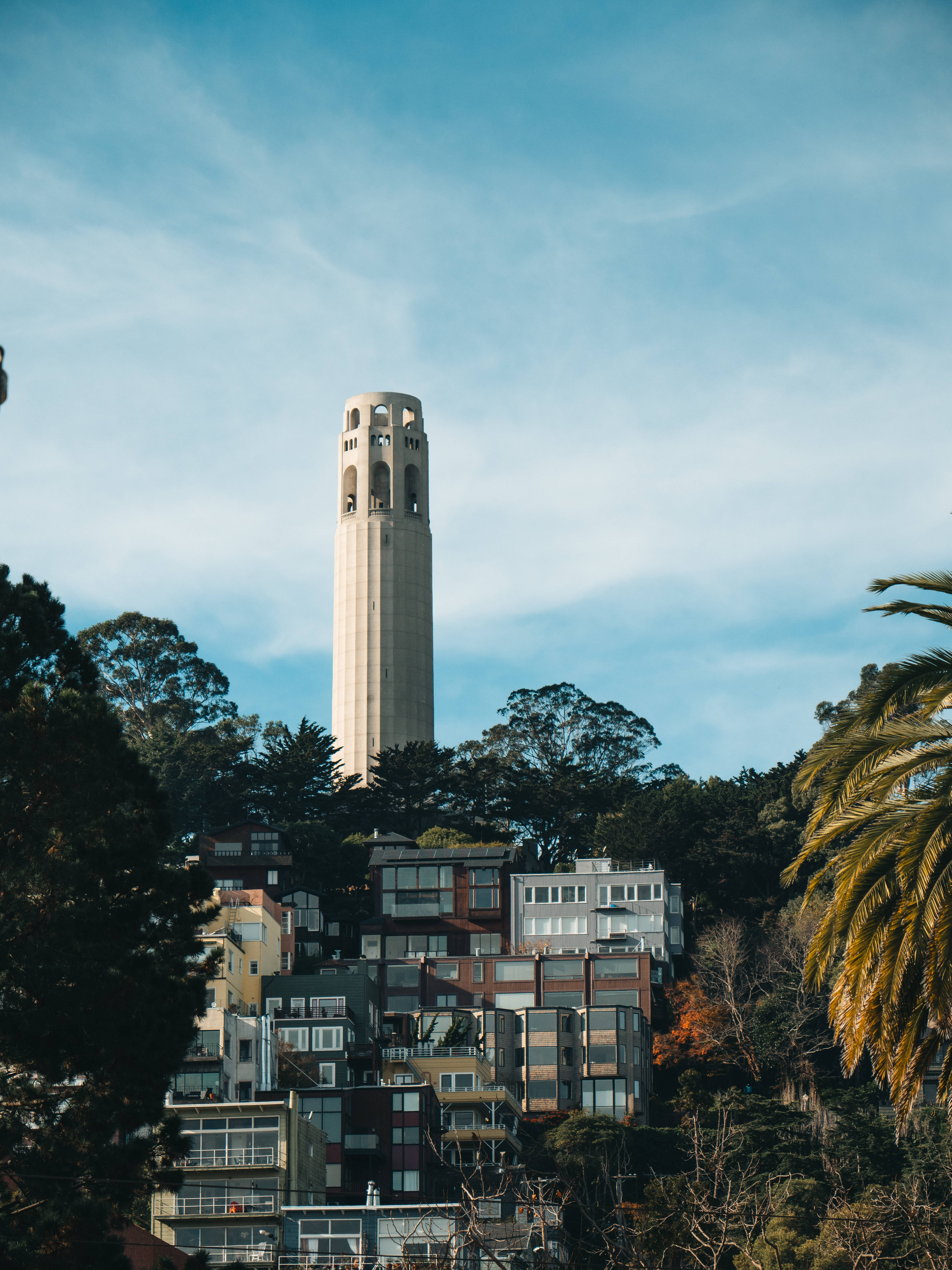 人像動態 桌布 壁紙 — Coit Tower 聳立在色彩繽紛的山坡房屋和茂密樹木之上，天空湛藍，白雲縷縷。