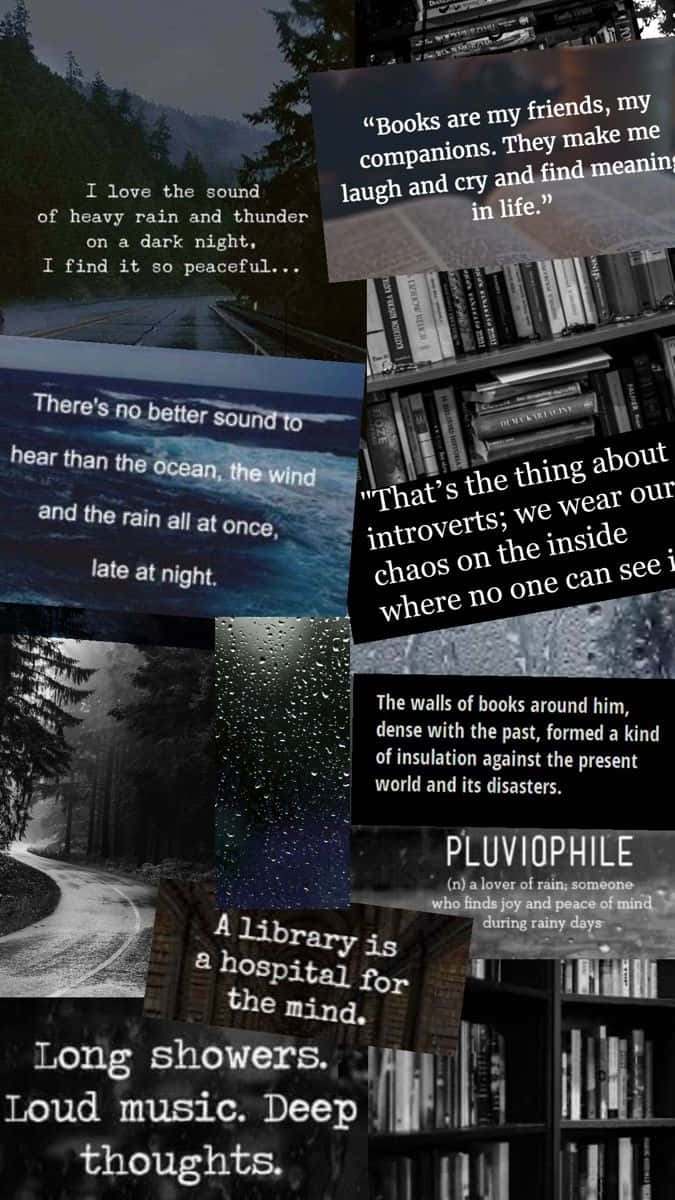 Dark Book Aesthetic 桌布 壁紙 — 將雨天名言拼貼在帶有書架和濕窗的陰鬱森林和圖書館場景上。