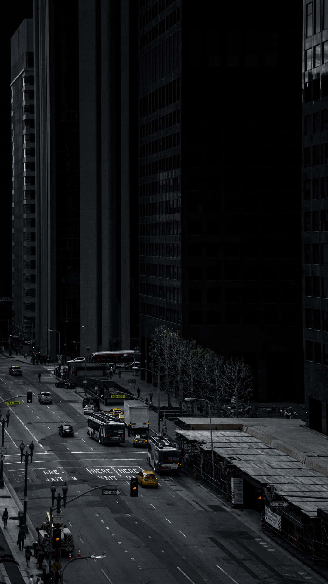高聳深色建築物之間的狹窄城市街道，稀疏交通和光禿樹木。 — Oled 壁紙